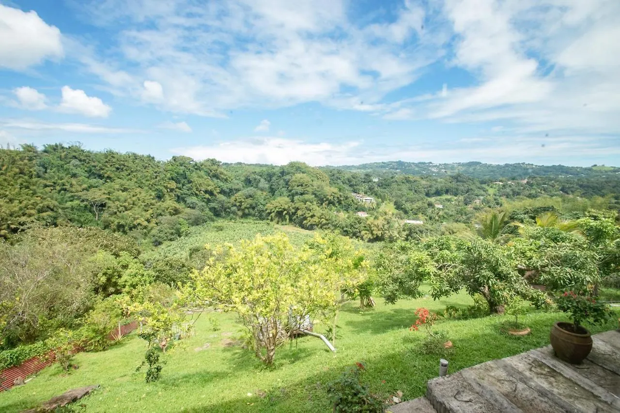 سانت-جوزيف La Maison Aux Bougainvilliers 0*,